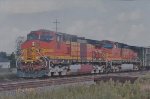 BNSF 4409 West